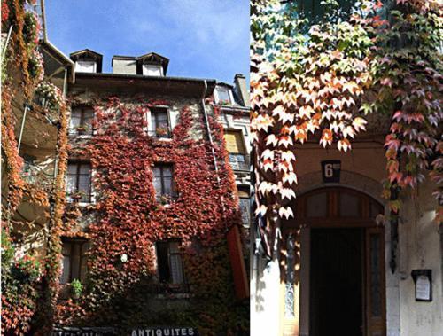 Hotel Central Annecy Kültér fotó
